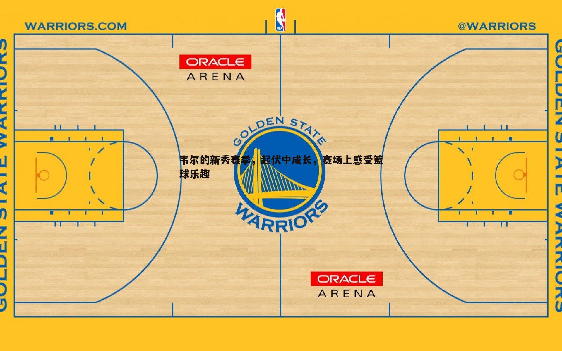 韦尔的新秀赛季，起伏中成长，赛场上感受篮球乐趣